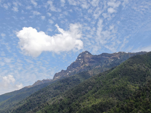 Terreno Cerca Reserva Nacional Malleco, 6.100 Mt2