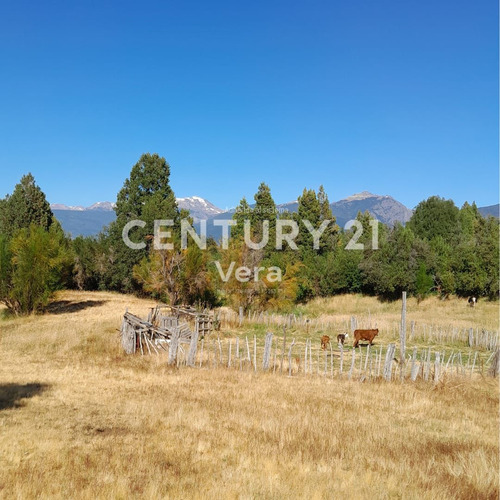 Campo En Venta En Mallín Ahogado