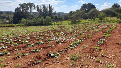 Imagem 29 de 30 de Sitio À Venda Em Igarapé Bairro Batatal - Si0094