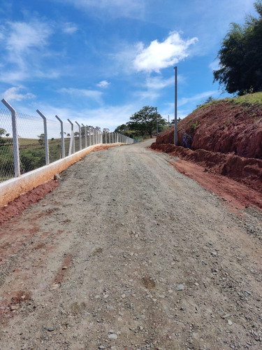 Imagem 12 de 30 de 03o-promoção Por Tempo Limitado