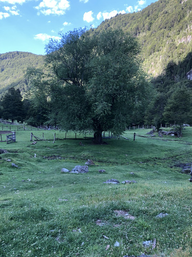 Campo 32 Hectáreas En Venta, Comuna De Cochamó