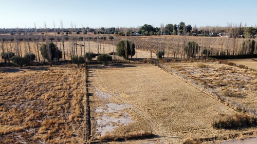 Imagen 2 de 4 de Vendo Lotes, Loteo La Rosa