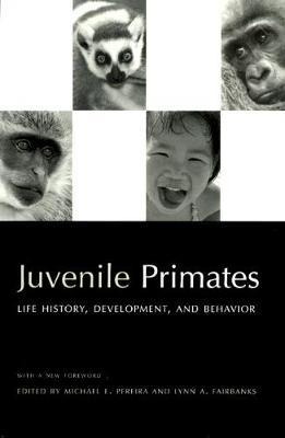 Juvenile Primates : Life History, Development And Behavio...