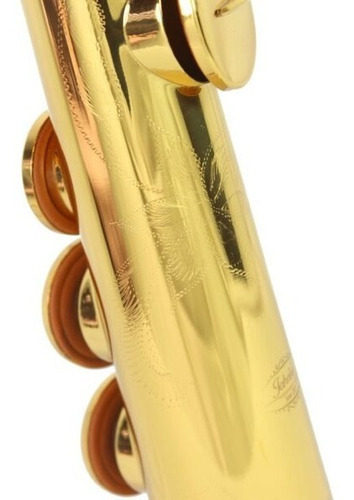 Saxofone Soprano Jahnke Bb (si Bemol) Com Boquilha E Case