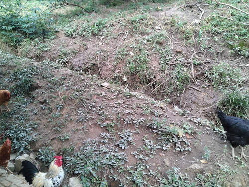Se Vende Casa Campestre Con Nacedero De Agua