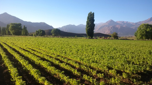 Fracción De Terreeno De 1ha3617m2 En Uspallata - Mendoza-