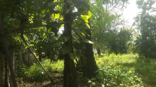 Imagem 14 de 14 de Terreno Para Locação Em Nova Descoberta Com 2200 M² Por R$ 13.000/mês - Nova Descoberta - Recife/pe - Te0051