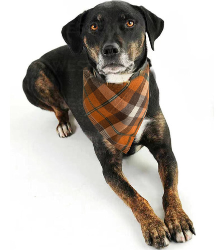 Bandanas Para Perros Realeaf Fall Thanksgiving, Paquete De 2