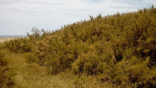 Terreno En Playa Grande, San Clemente, Oportunidad, Ofertas