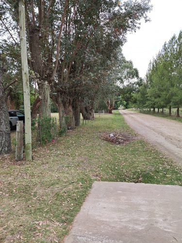 Imagen 19 de 22 de Vendo O Permuto Excelente Quinta Sobre Ruta 2 Km 63