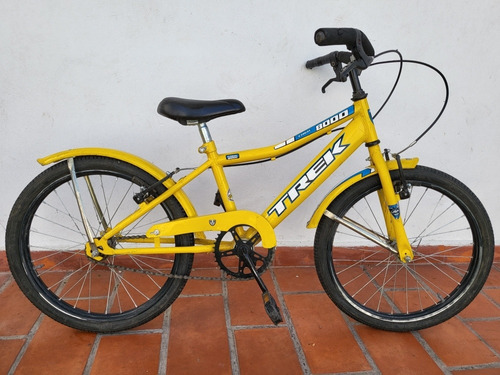 Bicicleta Bergamasco Rodado 20