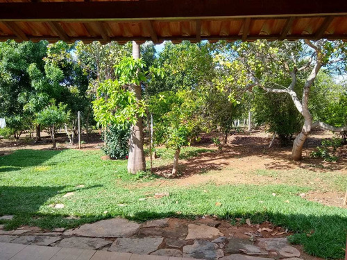 Imagem 5 de 15 de Fazenda - Centro - Ref: 3341 - V-3341