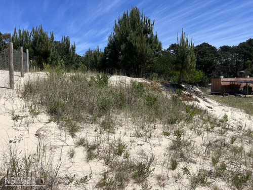 Terreno De 564 Mts2 En Jaureguiberry Sur