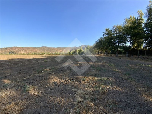 Imagen 12 de 27 de Parcela Agrícola En Venta En Paine