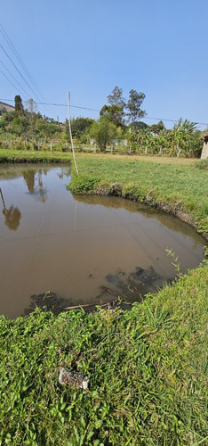 Chácara Espetacular Em Itapeva/mg: 4.533m2 Com Escritura