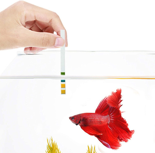 Sungrow Betta Ph Trans Tips Para Acuario, Solo Dibujo Y Le