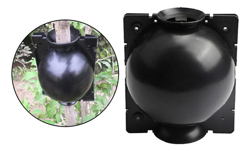 \ Bola De Enraizamiento De Planta De Enraizamiento De