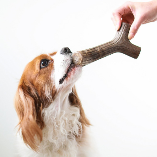 Imagen 4 de 10 de Hueso Masticable Benebone Bacon Stick Medium Juguete Perro