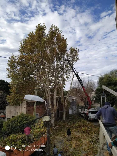 Alquiler De Camión Con Hidrogrua E Hidroelevadores.