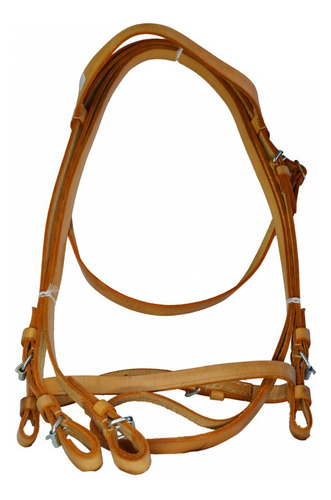 Rienda Y Cabezada De Suela