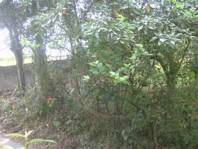 Imagem 5 de 6 de Ref.: 15475 - Area Em Cotia Para Venda - 15475