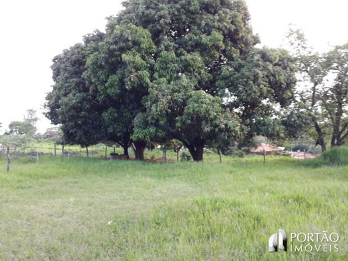 Imagem 7 de 15 de Sítio À Venda - Zona Rural, Piratininga-sp - 4877