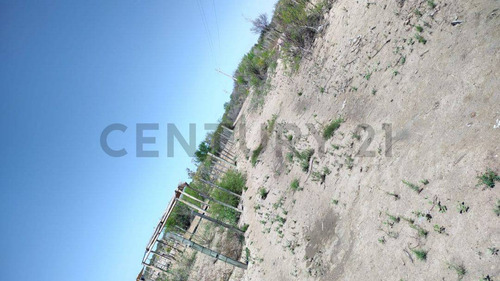 Century21lopez Vende Finca De 26hs Inculta En Las Catitas, Santa Rosa Mendoza