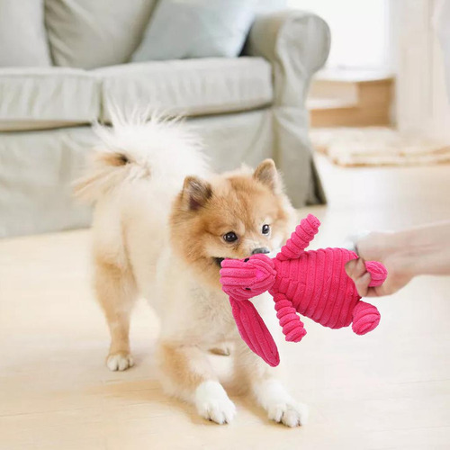 2 Dog Squeaky Toys Conejo Conejo 19x9cm 19x10cm 20x9.5cm