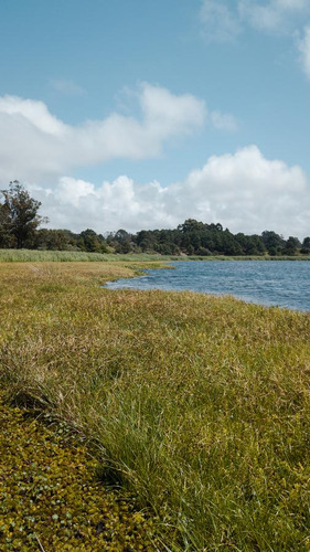 Terreno En Venta - 4 Cuadras De La Playa Montoya