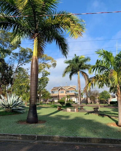 Imagem 2 de 16 de Casa - Ca01201 - 70581120