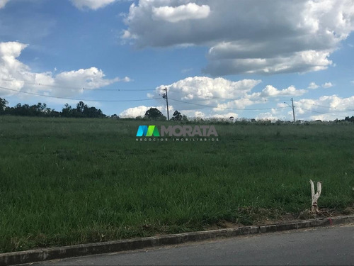 Imagem 8 de 15 de Terreno / Area - Distrito Empresarial - Ref: 4767 - V-mta4767