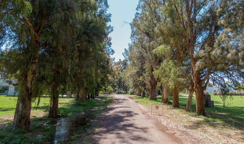Terreno Lote En Venta En Casuarinas Del Pilar, Zelaya, Pilar