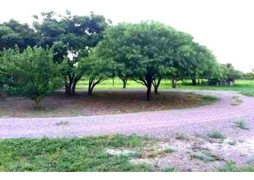 Oportunidad Vendo Campo Agrícola 100 Ha Real Sayana