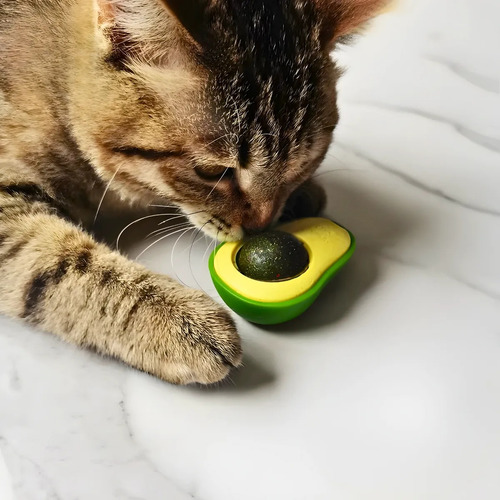 Catnip Abacate Brinquedo Interativo 360° Encanta Os Gatos