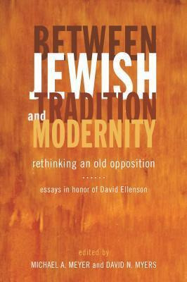 Libro Between Jewish Tradition And Modernity - Michael An...