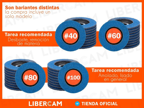 Imagen 6 de 10 de Set X10 Disco Abrasivo Flap 115mm Grano 40/60/80/100