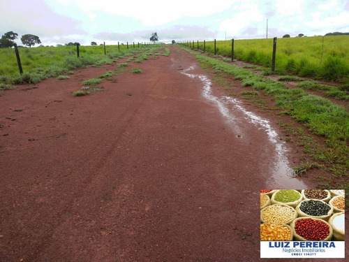 Imagem 12 de 15 de Fazenda À Venda Em Formoso Do Araguaia-to - 1.771 Hectares (dupla Aptidão) - 1618