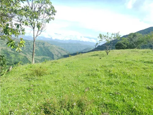 Se Vende Lote En Sanjeronimo (antioquia) 20 Hectáreas + 8.000 Mtr2