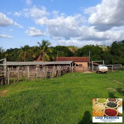 Imagem 13 de 15 de Fazenda À Venda Em Recurdolândia- To - De 130 Alqueirões (pecuária) - 1621