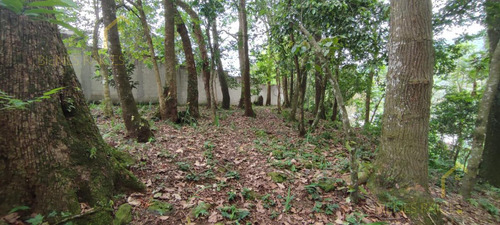 Terreno Enventa En Piedra De Agua En Jilotepec Veracruz
