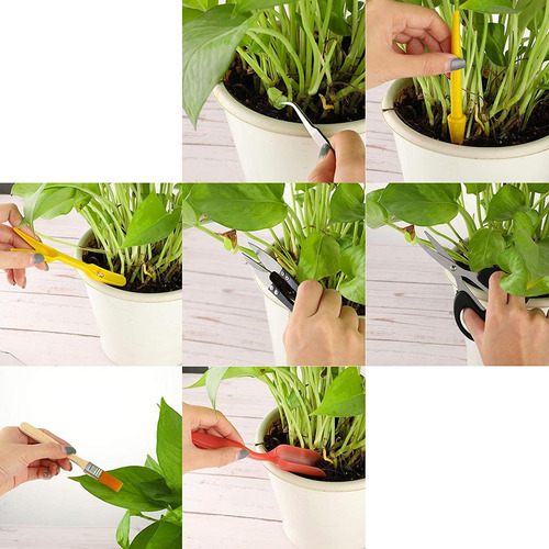 W Juego De Herramientas De Plantación, Bonsái Para