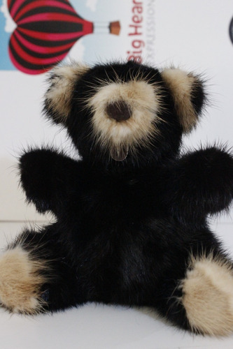 Peluche   Oso Rare Bear  De 16cm Original (c8)