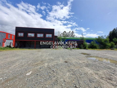 Propiedad Industrial En Arriendo Valdivia Llancahue 1250 M2