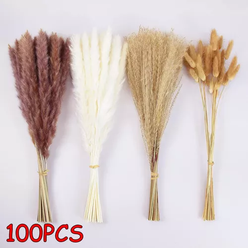 Pampas Secas Decoracion - 55 Piezas Flores Secas Naturales 42cm - Ramilletes  Flores Secas para Decoracion Hogar Boho Fiestas Bodas : : Hogar y  cocina