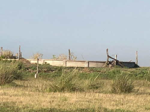 Campo En Santiago Del Estero Apto Para Explotación Ganadera (2200 Ha)