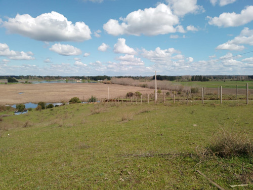 Vendo Excelente Parcela 5000 M2, Ubicada En Lomas De Angol.