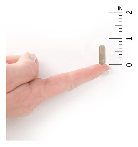 Cápsulas Multivitamínicas Garden Of Life Vitamin Code Raw On
