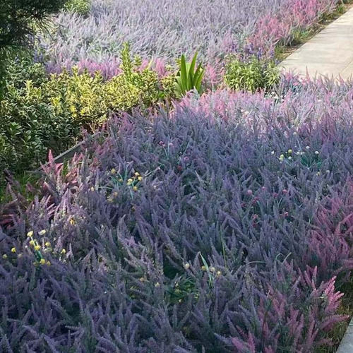Lavanda Artificial, 12 Paquetes De Flores De Plástico