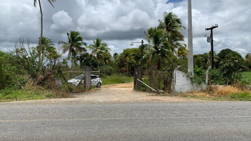 Imagem 1 de 7 de Granja Para Venda - 009987