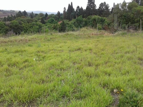 Imagem 9 de 15 de Cod 4008 - Belíssimo Terreno Pronto Para Construir - 4008